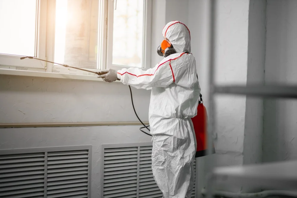 Professional mold remediation services in Hye, TX